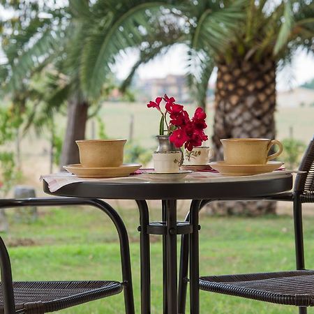 Villa Degli Oleandri Bnb Рим Екстериор снимка